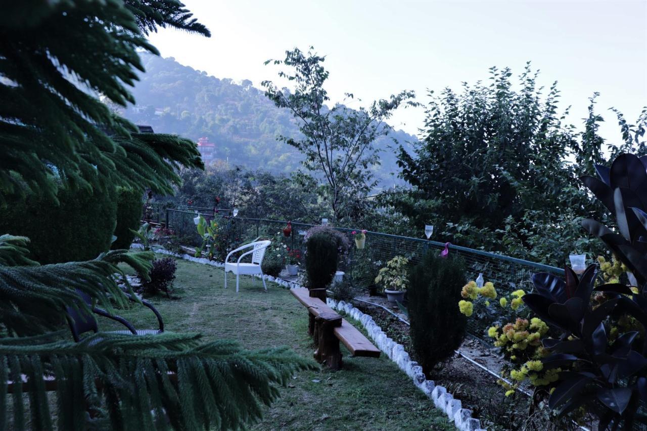 Wildleaf Kasauli Valley Homz Bed & Breakfast Exterior foto