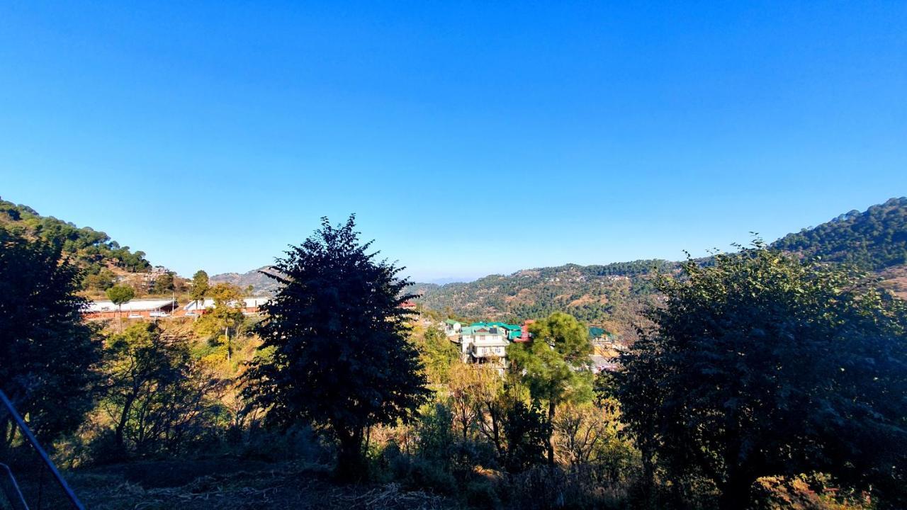 Wildleaf Kasauli Valley Homz Bed & Breakfast Exterior foto